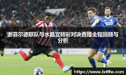 谢菲尔德联队与水晶宫精彩对决直播全程回顾与分析